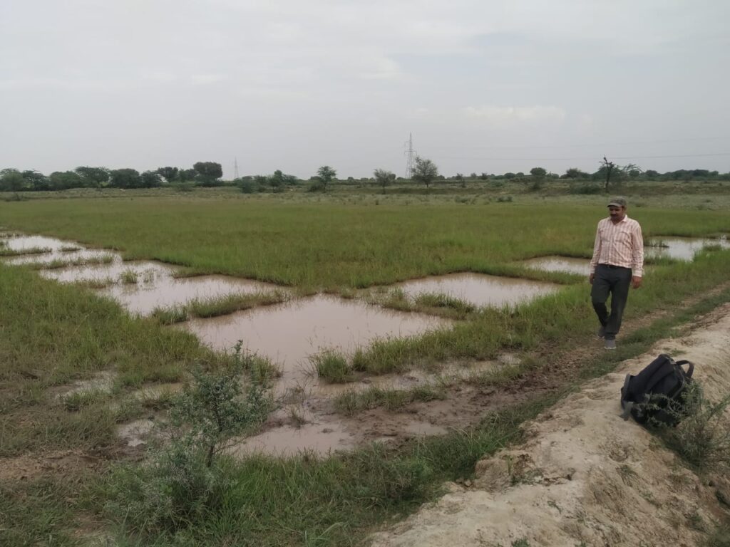 vikasonmukh6